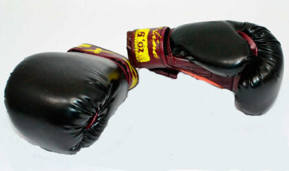 GR Gloves Boxing 6 унцій шкір.замін. (1) "Зуд""